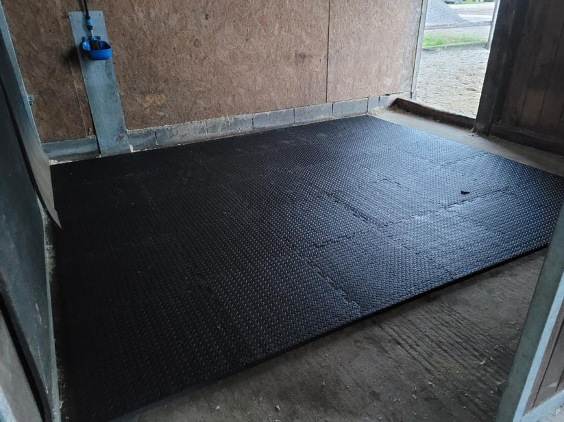 Eva Stallmatte Online